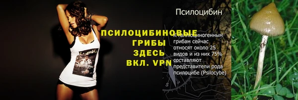 гидра Карталы