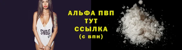 Альфа ПВП Каменка