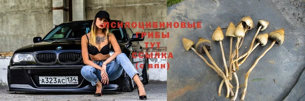 гидра Карталы