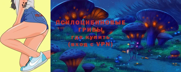 гидра Карталы